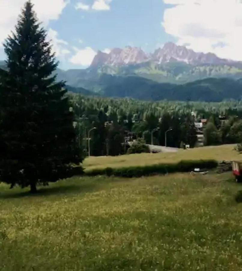 Casa Vacanze Miramonti - Appartamento Con Balcone Con Vista Sulle Dolomiti Borca di Cadore Exterior foto
